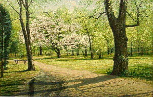 Природа парк Весна