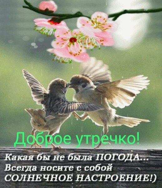 Солнечного настроения в любую погоду