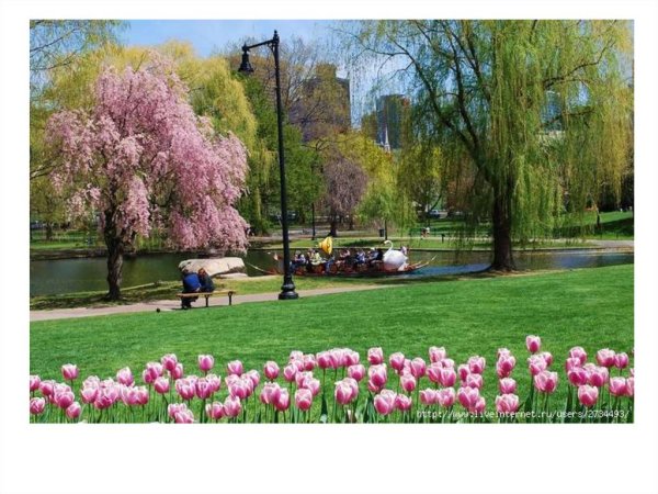 Весенний городской парк