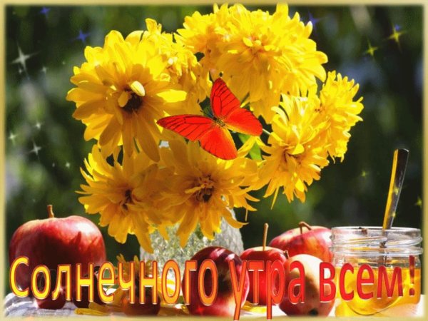 Солнечного настроения в дождливый день