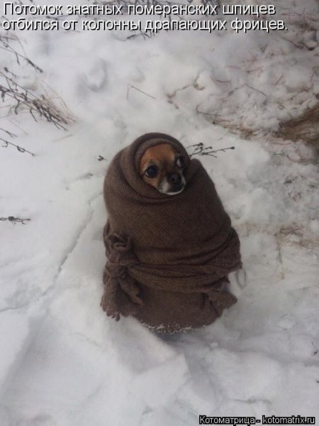 Зима скоро закончится