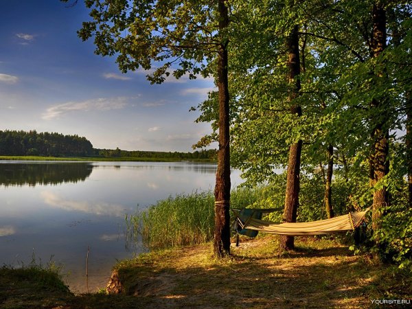 Природа лето озеро