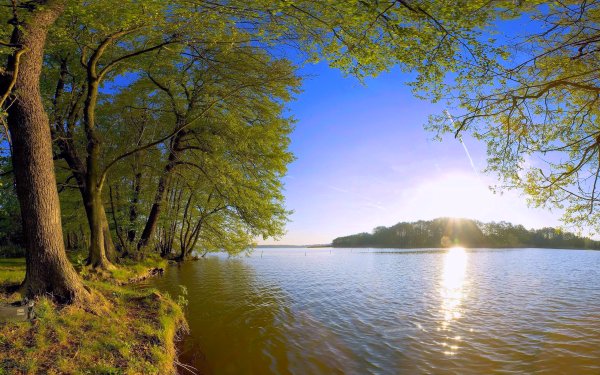 Летний пейзаж