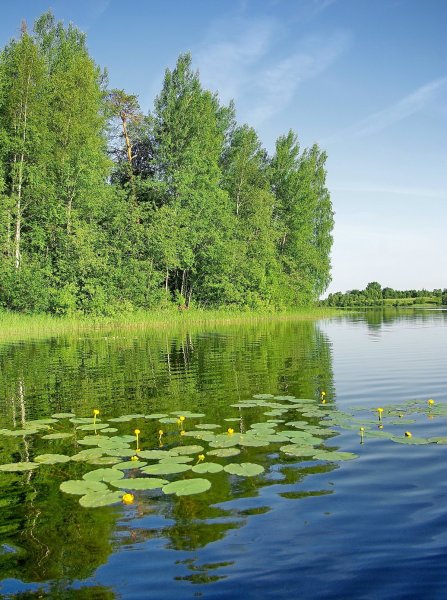 Тихая Речная заводь