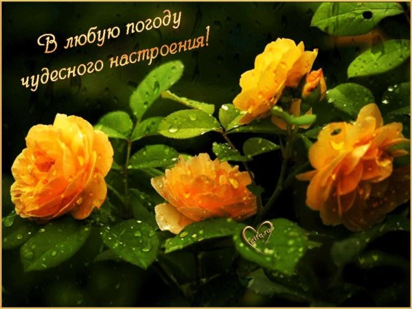 Хорошей погоды и отличного настроения