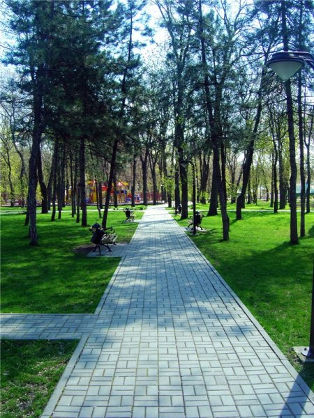 Парк Октябрьской революции Ростов на Дону