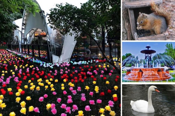 Октябрьский парк Ростов