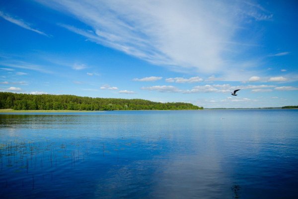 Браславские озера Белоруссия