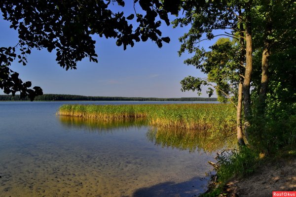 Озеро Мястро Беларусь