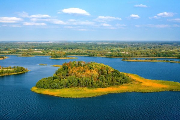 Браславские озёра лес Богинский