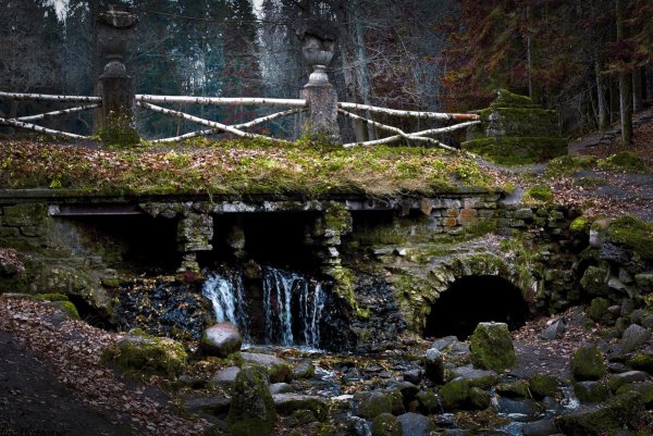 Старый заброшенный парк