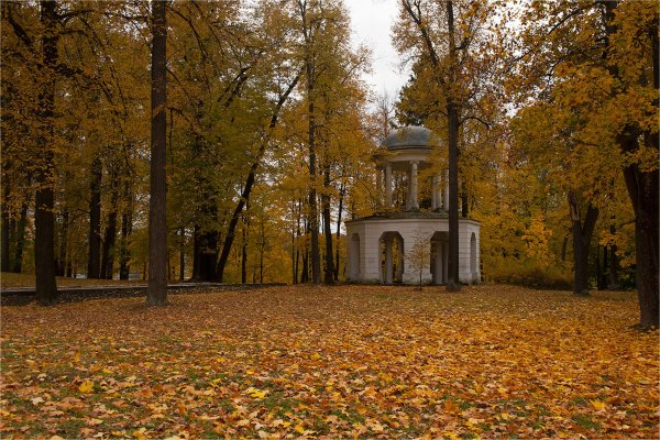 Старинные парки