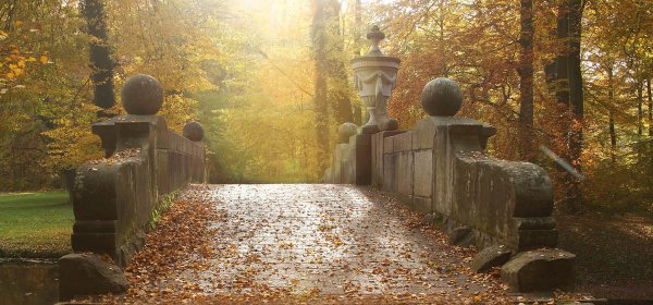 Пастернак старый парк