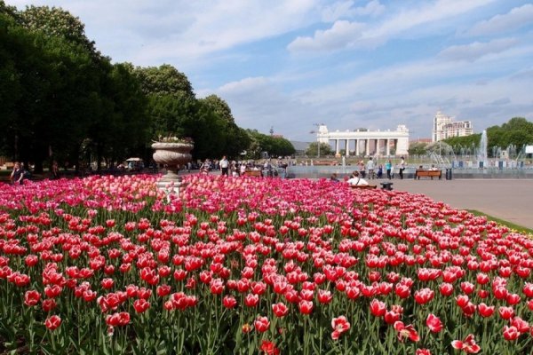 Парк культуры им Горького