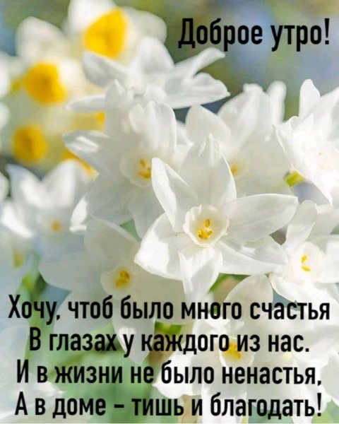 Пожелания с добрым утром и здоровья