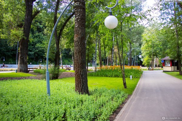 Воронеж парк отдыха Динамо