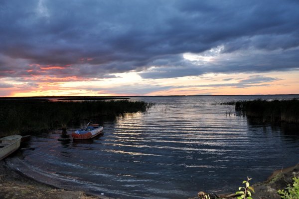 Крутинка Омская область