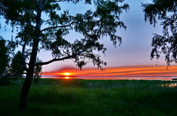 Озеро ИК Омская область фото