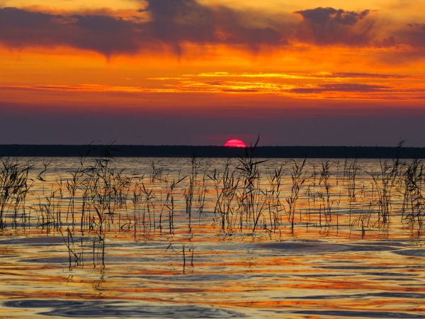 Озеро в Крутинке Омская область