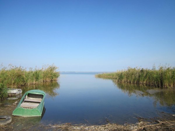 Озеро ИК Омская область