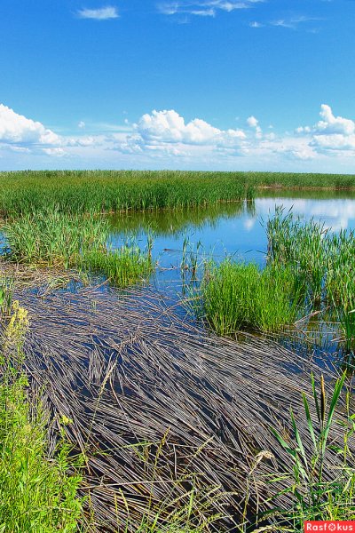 Озеро ИК Омск