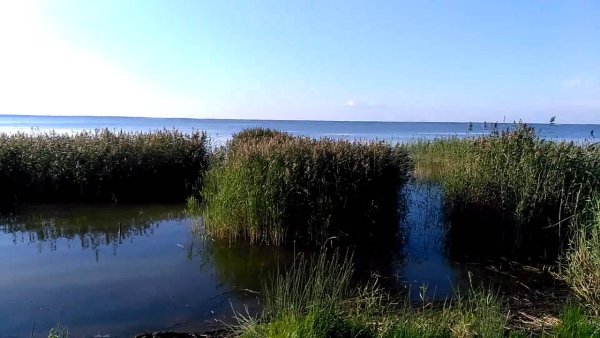 Озеро ИК Омск