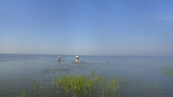 Крутинка Омская область база