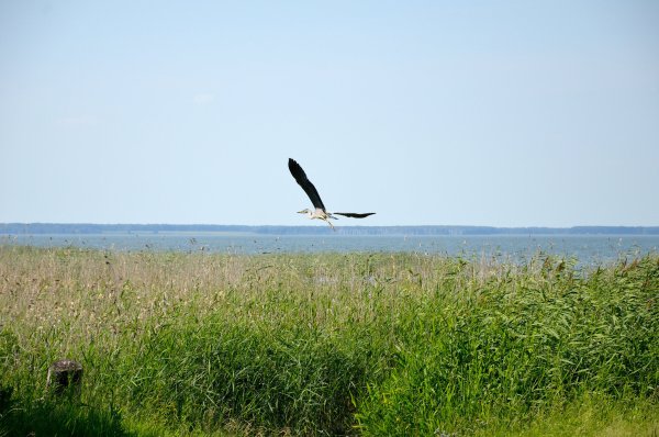 Озеро ИК Крутинский район