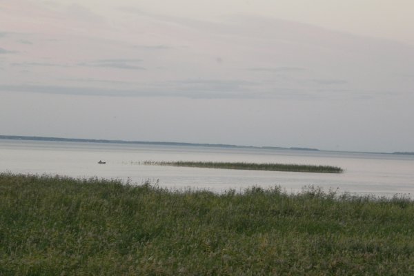 Салтаим озеро Омская