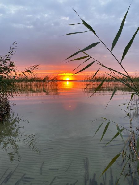 Озеро ИК Крутинский район Омской области