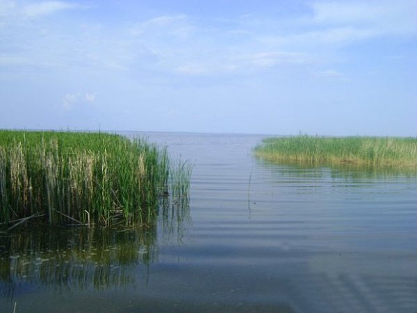 Омская обл,Крутинский р-н,озеро ИК
