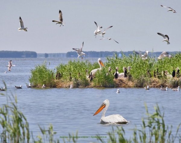 Озеро ИК Крутинский район