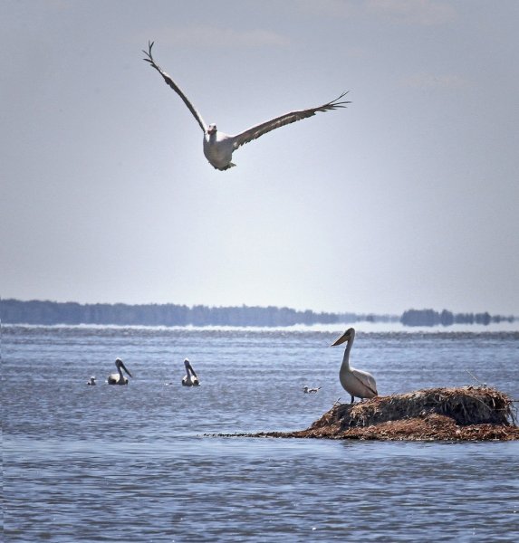Озеро ИК Крутинский район