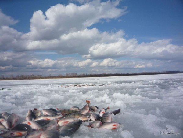 Крутинка озеро Салтаим