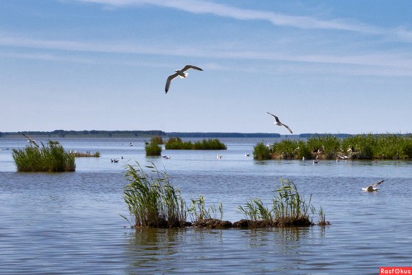Баировский заказник Омск