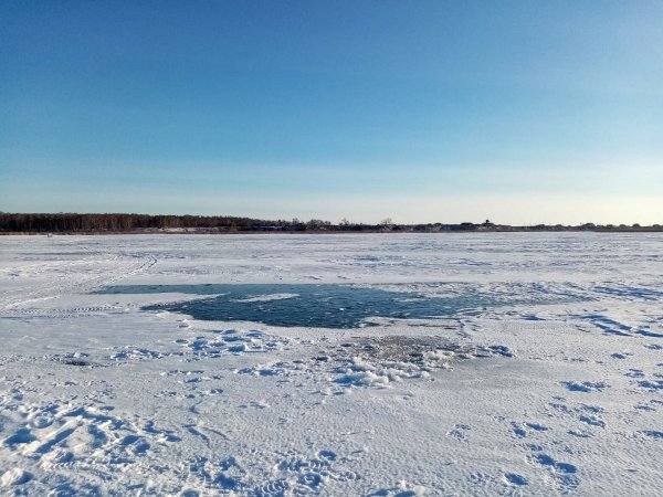 Салтаим Омская область