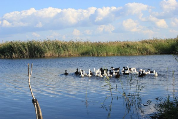 Крутинские озера Салтаим