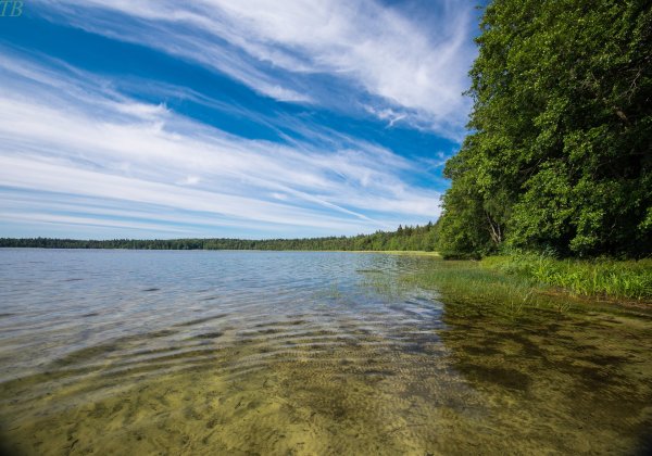 Свитязь озеро Белоруссия