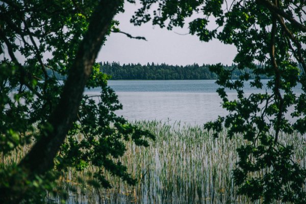 Свитязь озеро Белоруссия