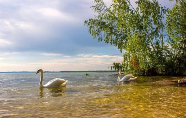 Озеро Свитязь