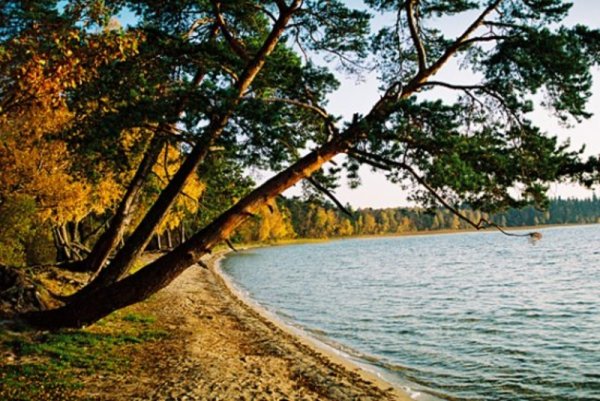 Озеро Свитязь Гродненская область