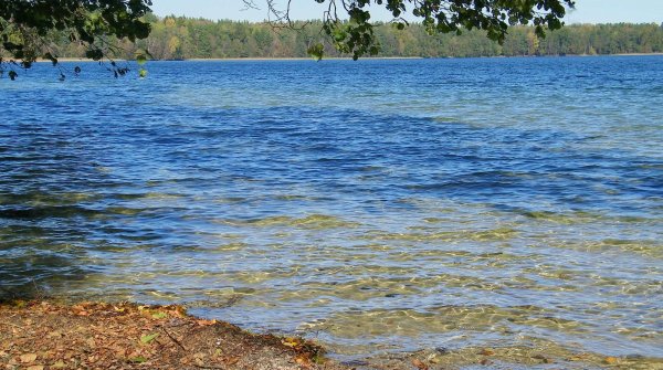 Оз Свитязь Беларусь