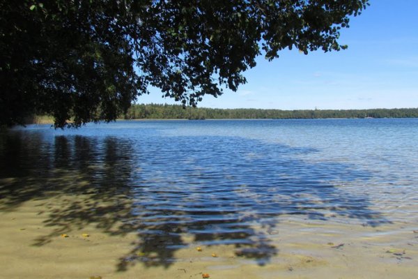 Озеро Свитязь Гродненская область