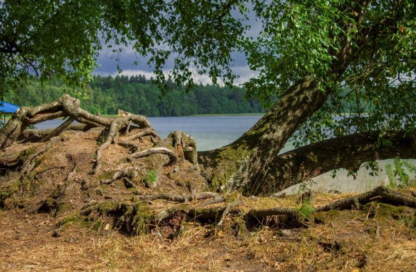 Озеро Свитязь Вознесенский