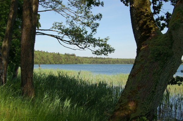 Озеро Свитязь Гродненская область