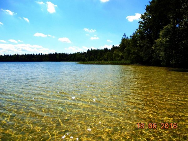 Озеро Свитязь Гродненская область