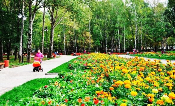 Парк Миндовского Пермь