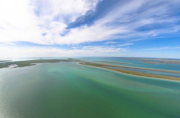 Озеро Чаны Новосибирская область