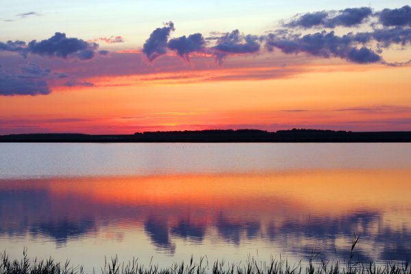 Озеро Чаны Новосибирская