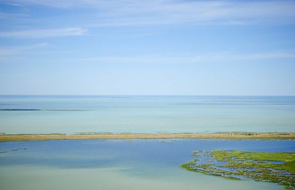 Чановский район озеро Чаны